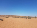 Mini Sahara südlich von Agadier 3816_10