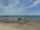 Ueckermünder Strand 317_15