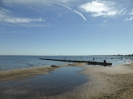 Ueckermünder Strand 317_20