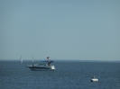 Ueckermünder Strand 317_22