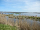 Radweg Bugewitz-Karnin Stettiner Haff_11