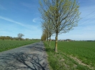 Radweg Usedom Stadt-Korswandt_12