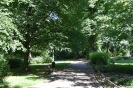 Lindengarten Wismar 2821_09