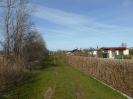 Gartenkolonie Dranske 1316_03