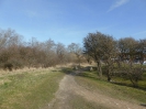 Ostsee Wanderweg Dranske 1316_15
