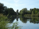 Teich in Dannenberg_03
