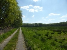 Radweg Lübben-Burg 416_18