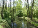 Radweg Lübben-Burg 416_26