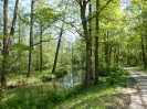 Radweg Lübben-Burg 416_27