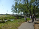 Radweg Lübben-Lübbenau 316_07
