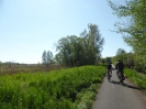 Radweg Lübben-Lübbenau 316