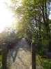 Radweg Schlepzig-Lübben 216_27