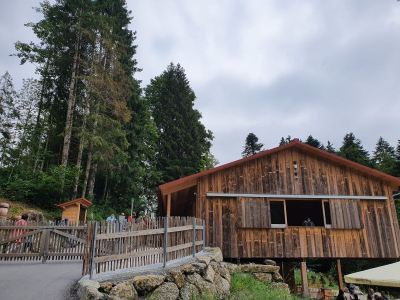 Scheidegger Wasserfälle 2821_02