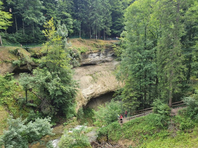 Scheidegger Wasserfälle 2821_13