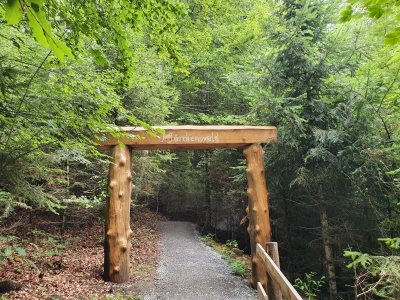 Scheidegger Wasserfälle 2821_30