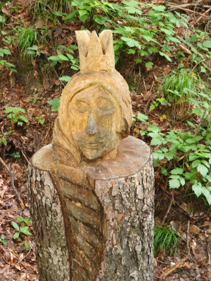 Scheidegger Wasserfälle 2821_31