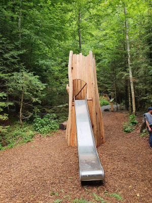 Scheidegger Wasserfälle 2821_37