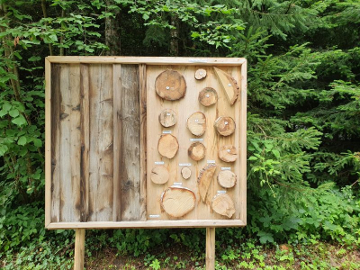 Scheidegger Wasserfälle 2821_39