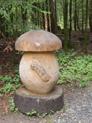 Scheidegger Wasserfälle 2821_40