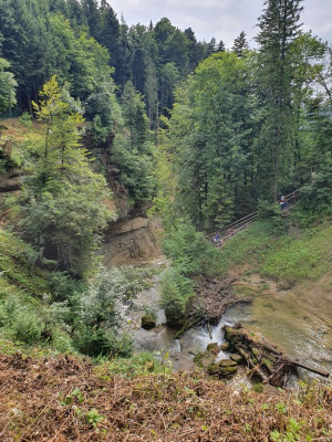 Scheidegger Wasserfälle 2821_47