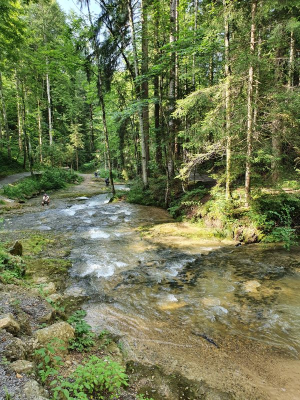 Scheidegger Wasserfälle 2821_67