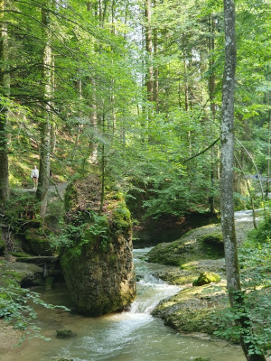 Scheidegger Wasserfälle 2821_69