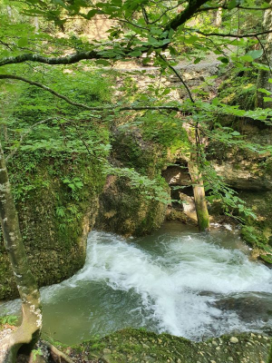 Scheidegger Wasserfälle 2821_71