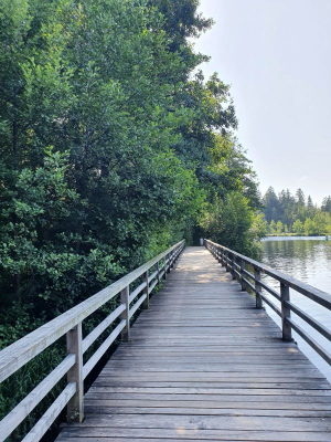 Waldsee Lindenberg 2821_04