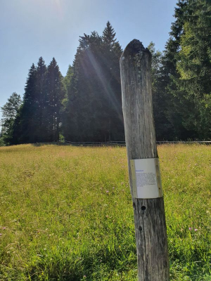 Waldsee Lindenberg 2821_14