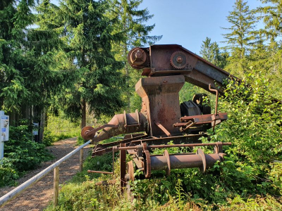 Waldsee Lindenberg 2821_16