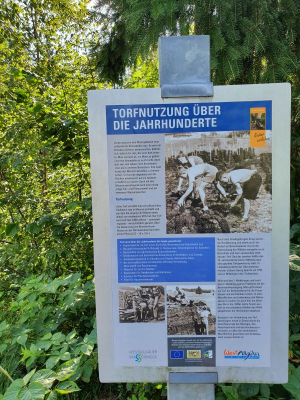 Waldsee Lindenberg 2821_17