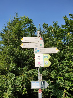 Waldsee Lindenberg 2821_20