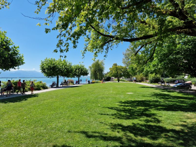 Stadtgarten Lindau 2622