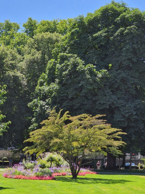 Stadtgarten Lindau 2622_07