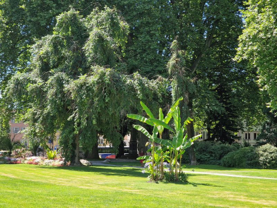 Stadtgarten Lindau 2622_09