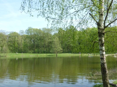 Strandbad Schönwalde1518_10