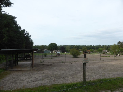 Spandauer Forst 3217_10