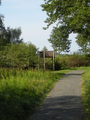 Spandauer Forst