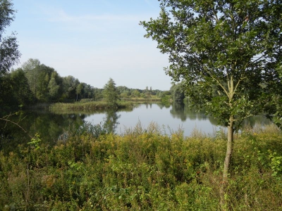 Spandauer Forst_02
