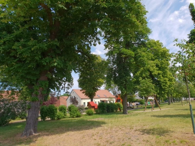 Dorfanger Pausin 1518_03