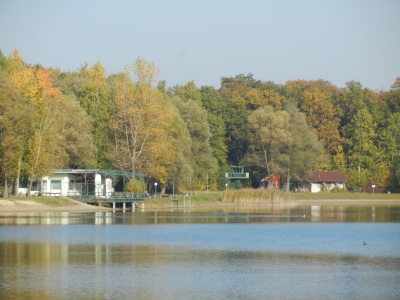 Nymphensee Brieselang_16