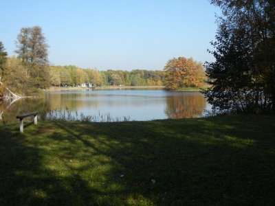 Nymphensee Brieselang_17