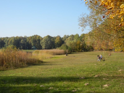 Nymphensee Brieselang_24