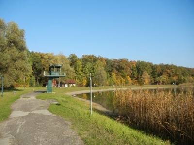 Nymphensee Brieselang_28