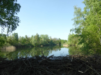 Mauerradweg Falkensee 1518_02