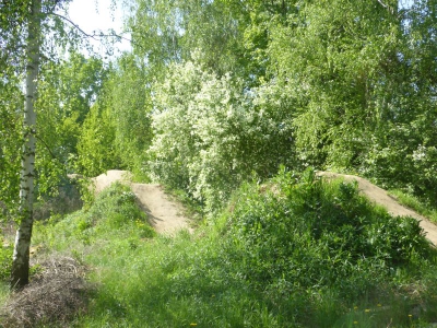 BMX MTB Trail Anlage 1518_12