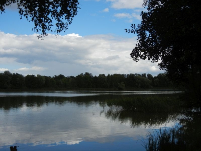 Falkenhagener und Neuer See Falkensee_10