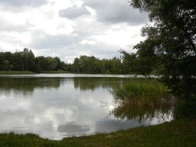 Falkenhagener und Neuer See Falkensee_12