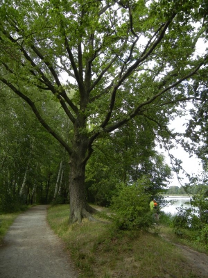 Falkenhagener und Neuer See Falkensee_23