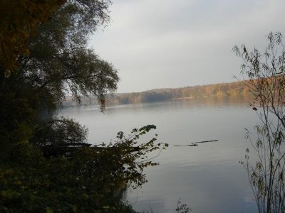 Fussweg Jungfernsee_02